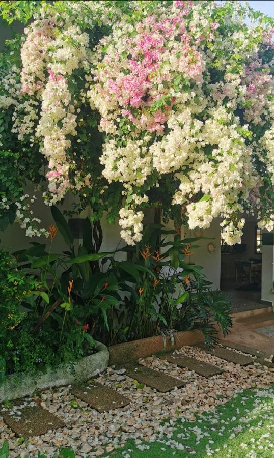 Alisa Garden Boutique Hotel パングラオ エクステリア 写真