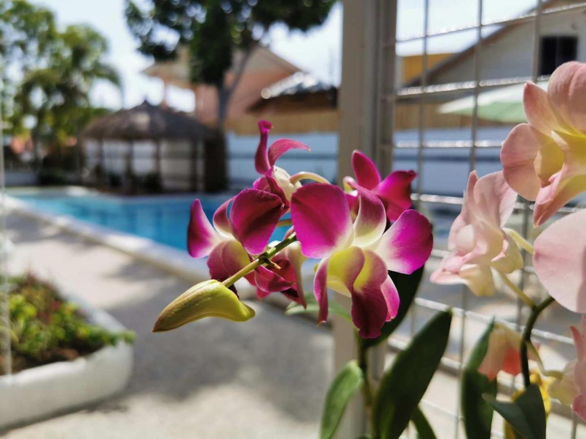 Alisa Garden Boutique Hotel パングラオ エクステリア 写真