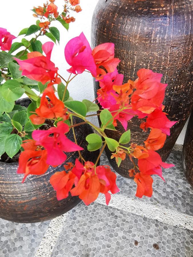 Alisa Garden Boutique Hotel パングラオ エクステリア 写真