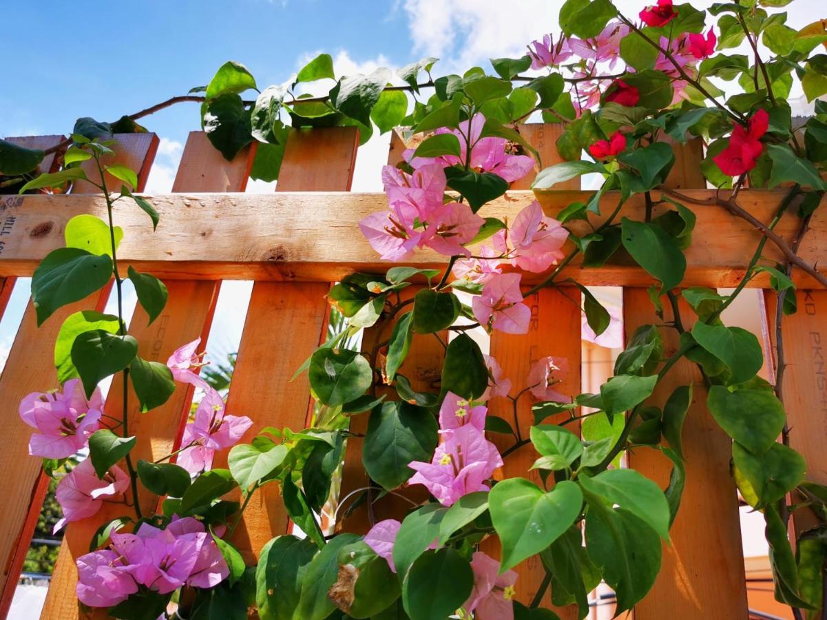Alisa Garden Boutique Hotel パングラオ エクステリア 写真