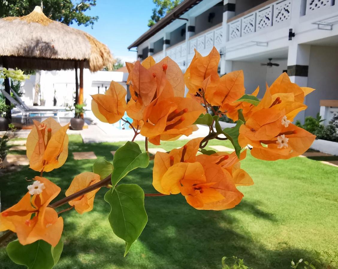 Alisa Garden Boutique Hotel パングラオ エクステリア 写真